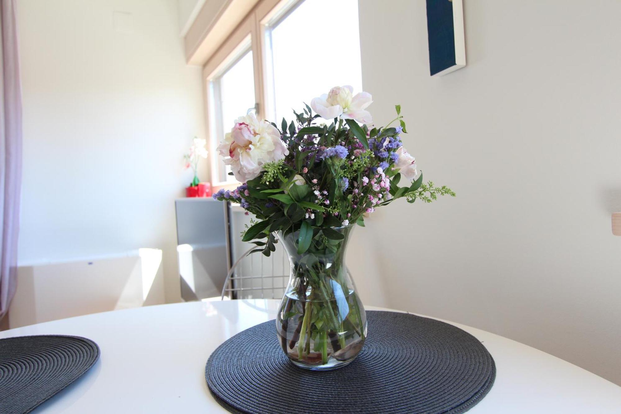 Apartments Makado Rovinj Bilik gambar
